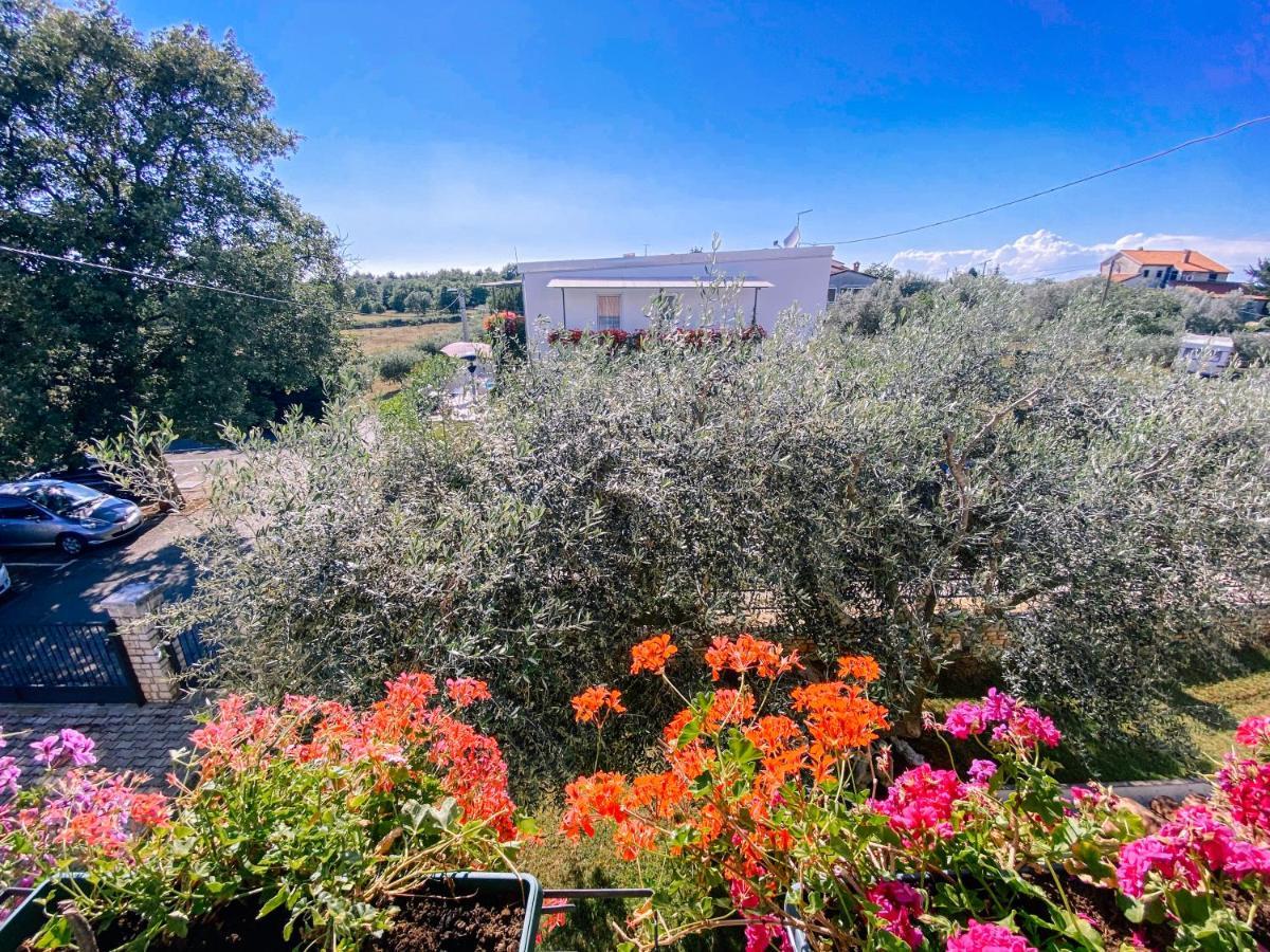 Guest House Sosi Umag Dış mekan fotoğraf