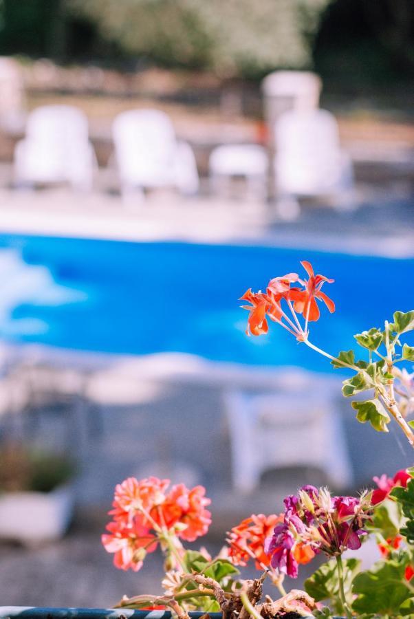 Guest House Sosi Umag Dış mekan fotoğraf